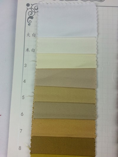 GZ-DEQG 斜紋彈力仿天絲 WL267 側面照